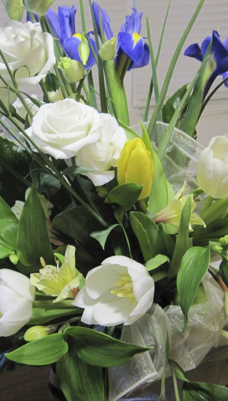 Екатерина Новаковская | Днепр (Днепропетровск)