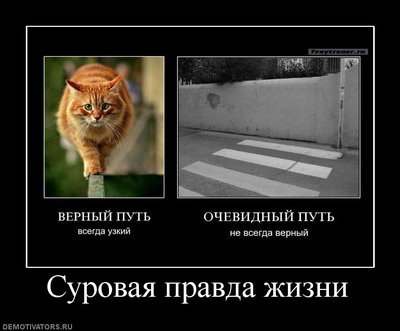 Рома Игнатьев ProGosuGamer | Йошкар-Ола