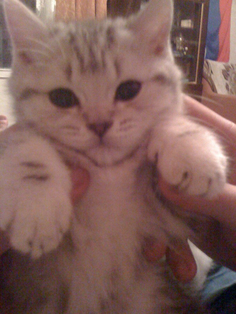 Аня Михайличенко | Москва