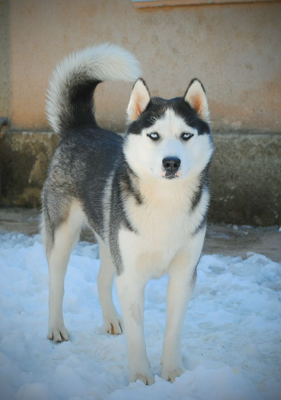 Юра Пищев ◄▌▌█▬▬100L▬▬█▐▐► | Симферополь