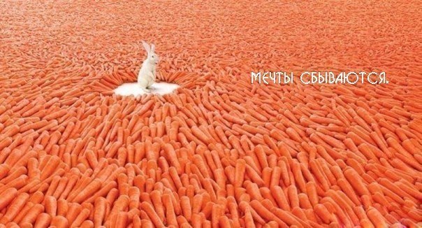 Анна Дацюк | Полтава