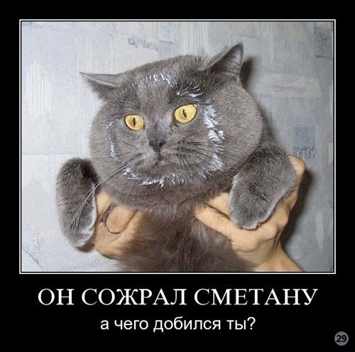 Дмитрий Ситников | Железногорск