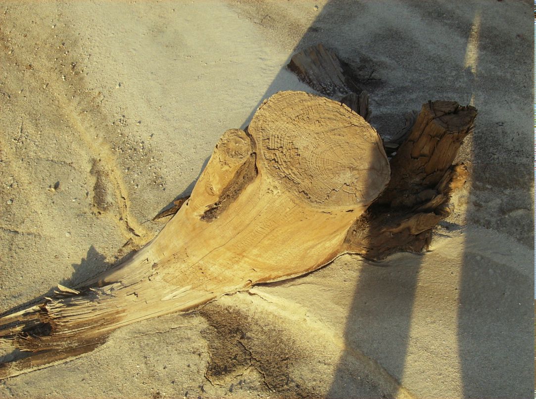 Шурик Тухканен | Петрозаводск