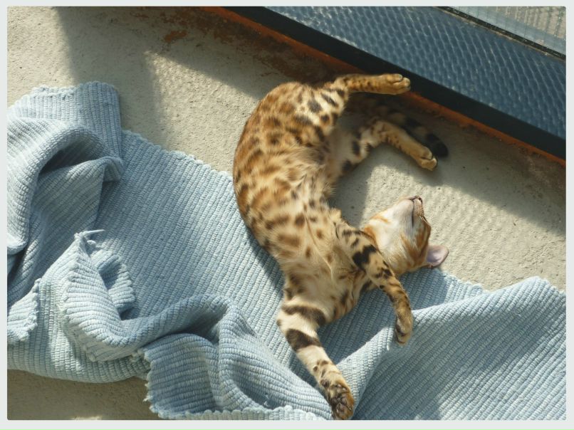 Индира Яппарова | Екатеринбург