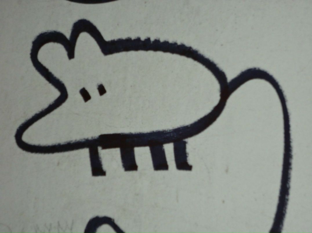 Полина Сидорчук | Челябинск