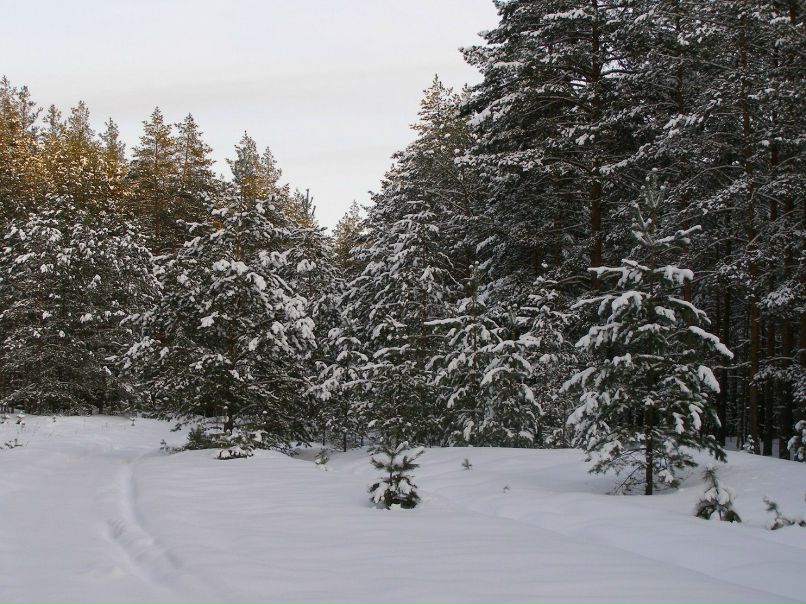 Алексей Друзин | Алатырь