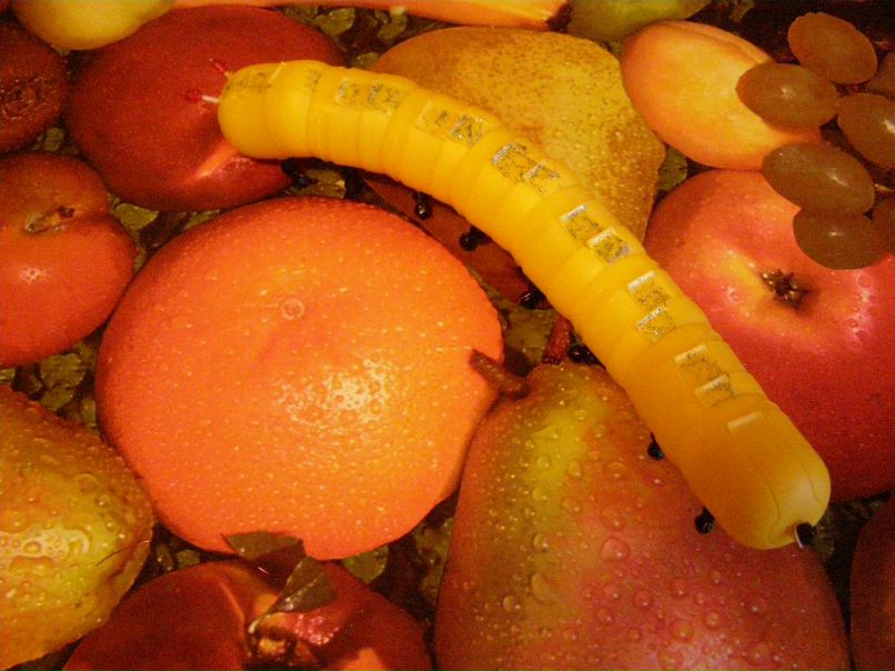 Денис Сапельников | 