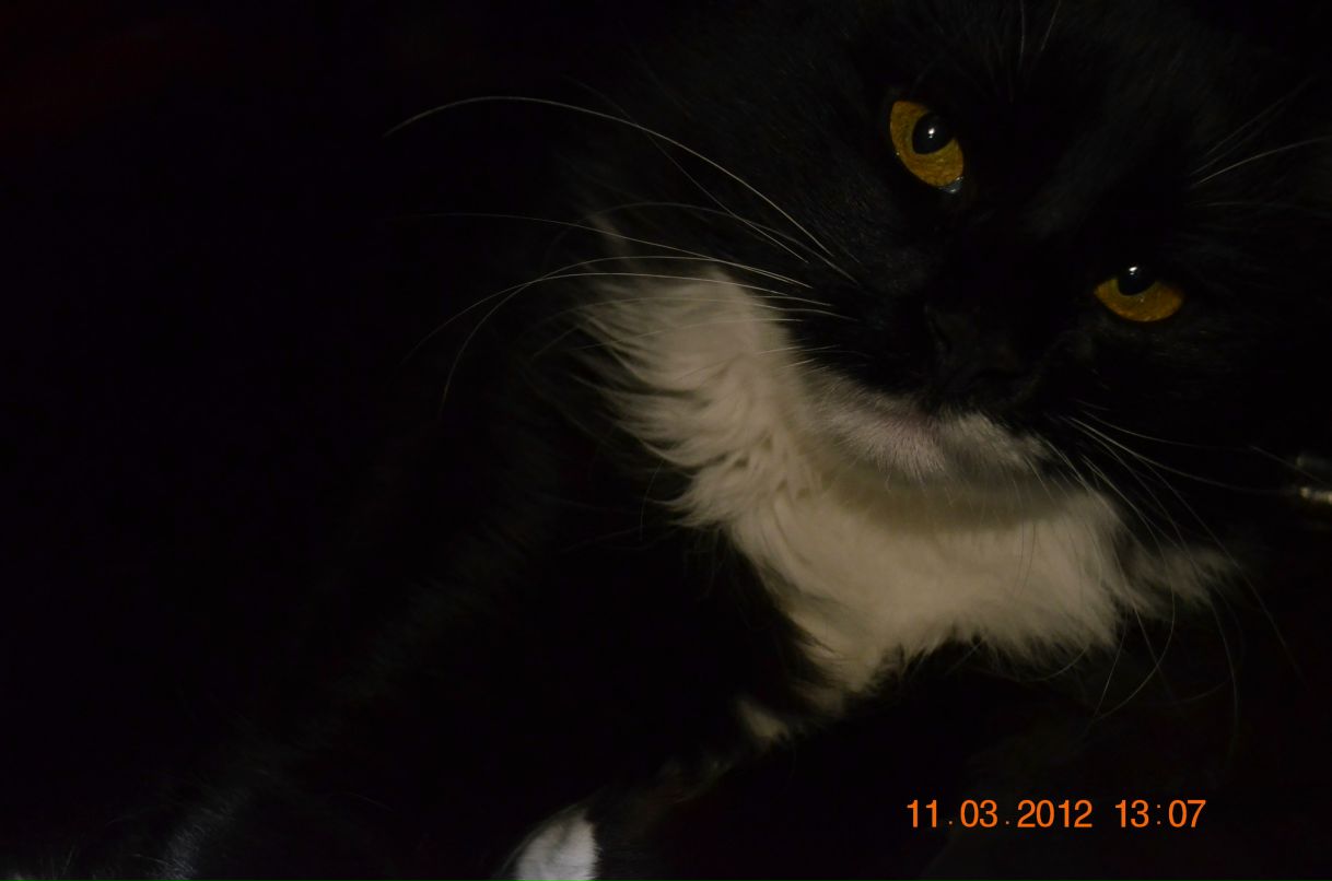 Сергей Карпов | Киев