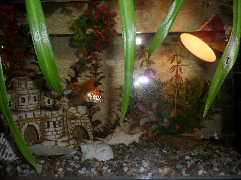 Наталья Самакова | Санкт-Петербург