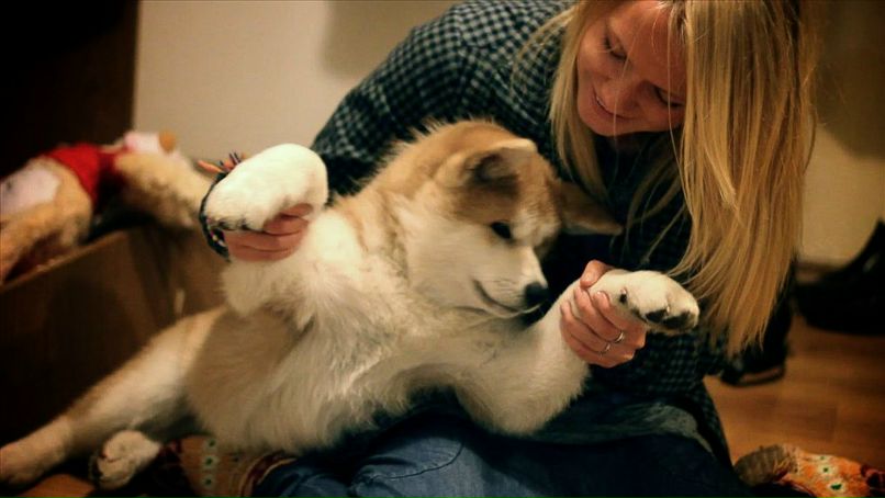 Елена Мерзлова | Denpasar