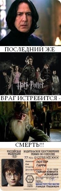 Поттер священные 28