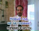 Фотография Эльф Ночной