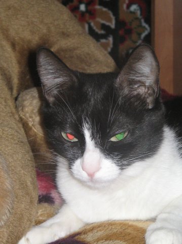 №1, Александр Русиновский №1, Александр Русиновский