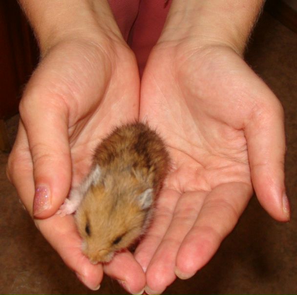 №67, Наталья Головань, Нижний Тагил №67, Наталья Головань, Нижний Тагил