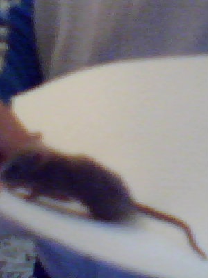 №110, Лера Аглетдинова, 16.9.1999, Москва №110, Лера Аглетдинова, 16.9.1999, Москва