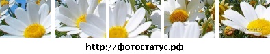 №5, Вероника Воскресенская, 23.4.1997 №5, Вероника Воскресенская, 23.4.1997
