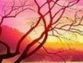 Шерали Ахметов ☾★ | Новосибирск