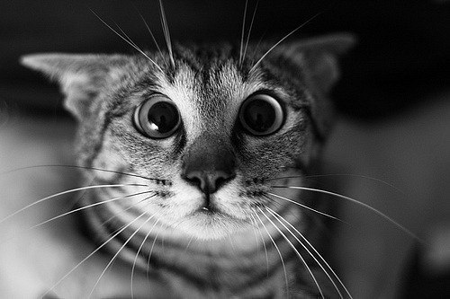 Валера Васюк ---AIIOSTAJI--- | Минск