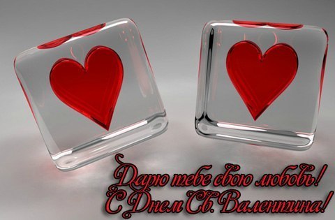 Артем Биденко | Каменское / Днепродзержинск