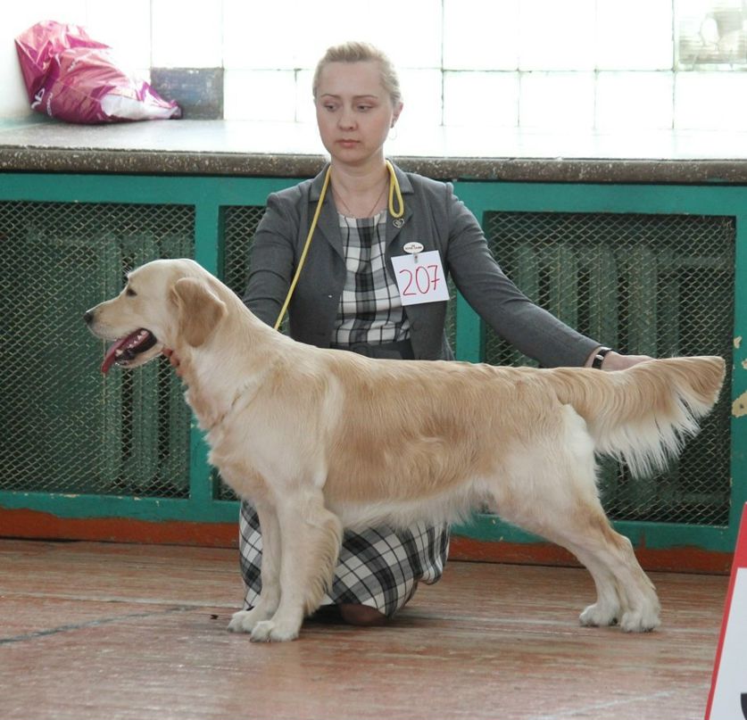 Оксана Омельченко | Челябинск