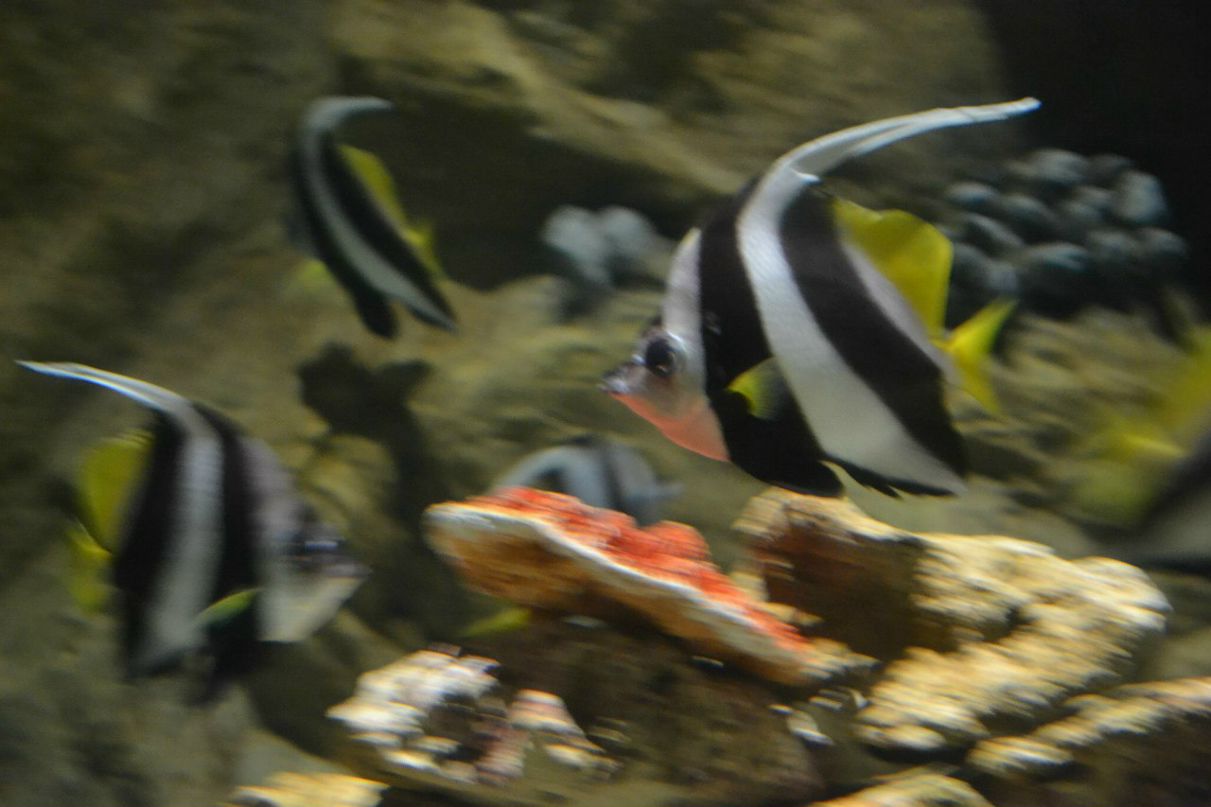 Ленка Щербакова NIKTCHEMY | Санкт-Петербург