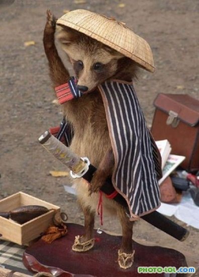 №71, Денис Кукулевский, 124 года, Одесса №71, Денис Кукулевский, 124 года, Одесса