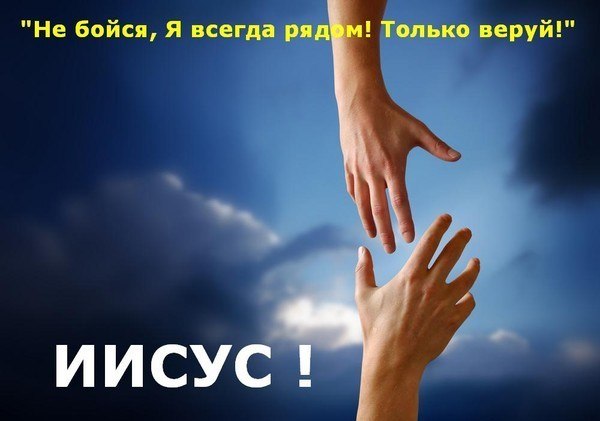 Владимир Швец | 