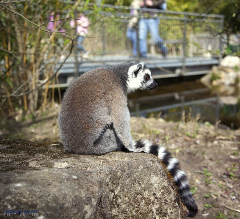 Наталка Стасів | Warendorf