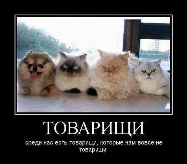 Юрий Кулик | Запорожье