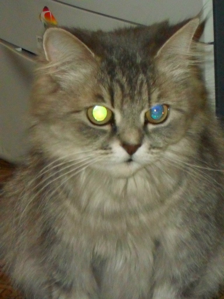 Денис Васильев | Новосибирск