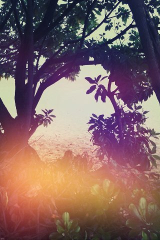 Лаура Авакян | 