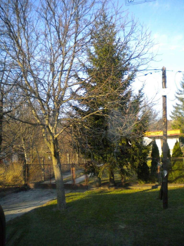 Наташа Грудачёва | Днепр (Днепропетровск)