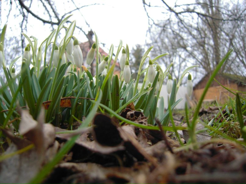 Анна Матяш | Калининград