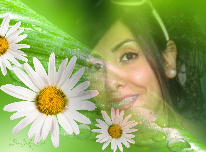 Best Wishes | Полтава