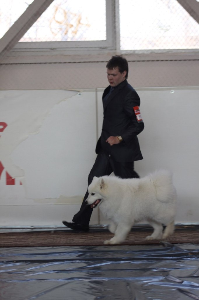 Егор Смолдырев | Иннополис