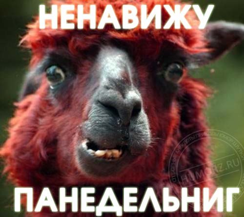 Андрей Осадчий MEGA | Запорожье