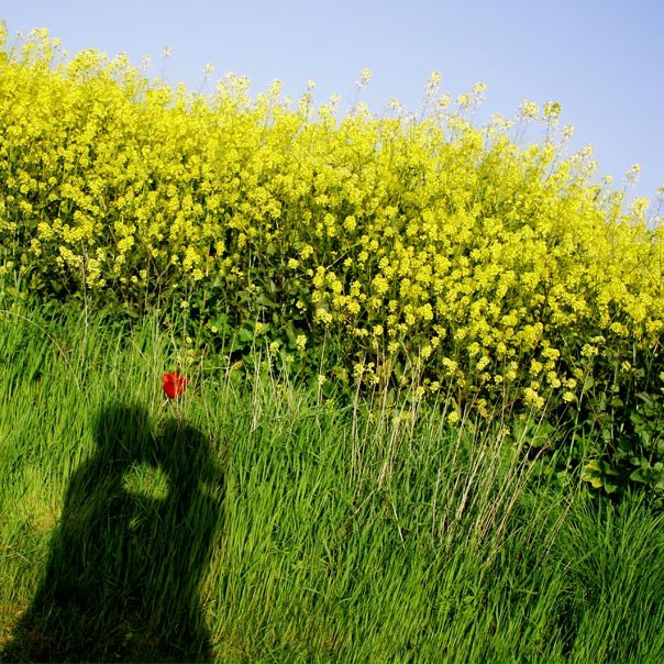 №12, Ольга Партолина №12, Ольга Партолина