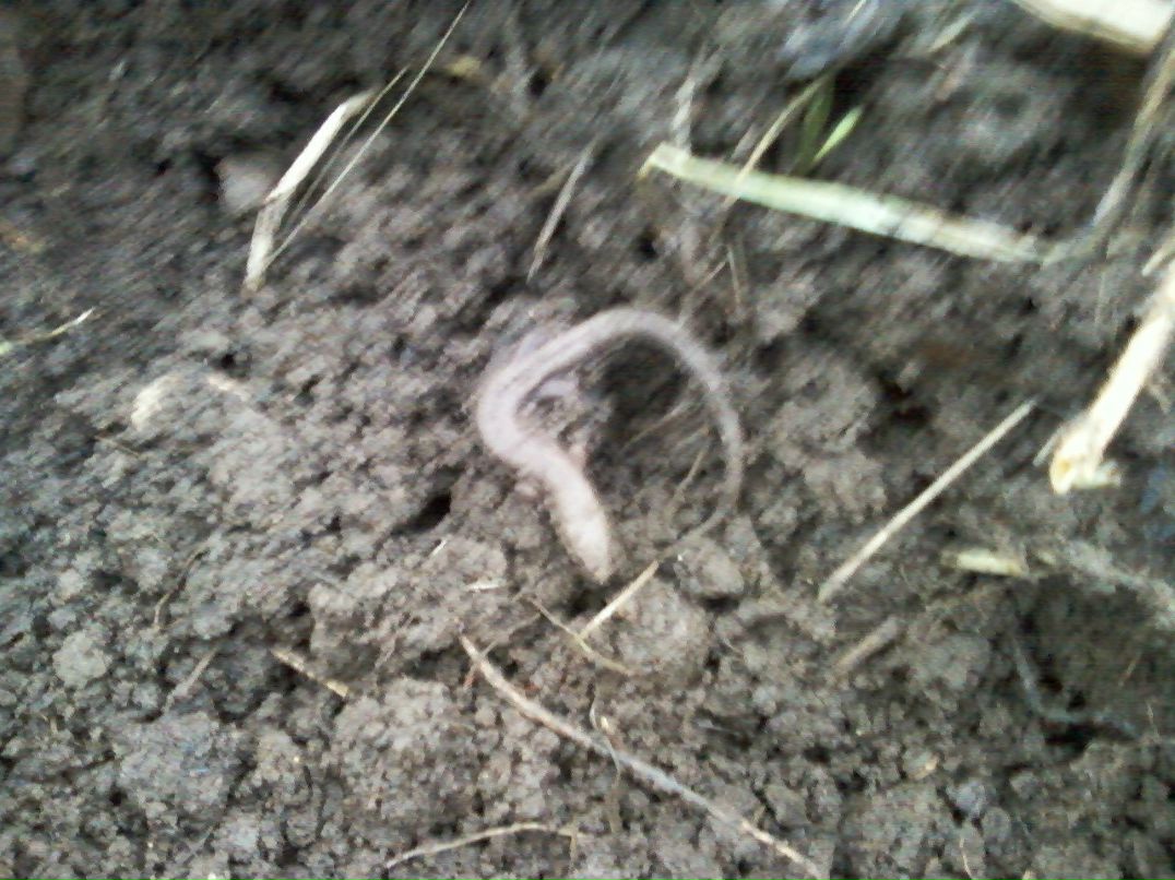 Татьяна Герасименко | Кубинка