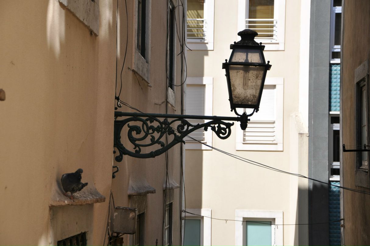 Юрий Зуев | Санкт-Петербург