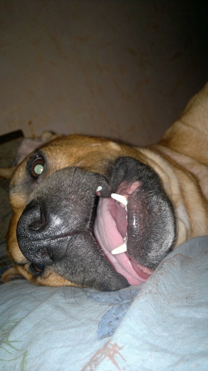 Вадим Громов | Ковдор