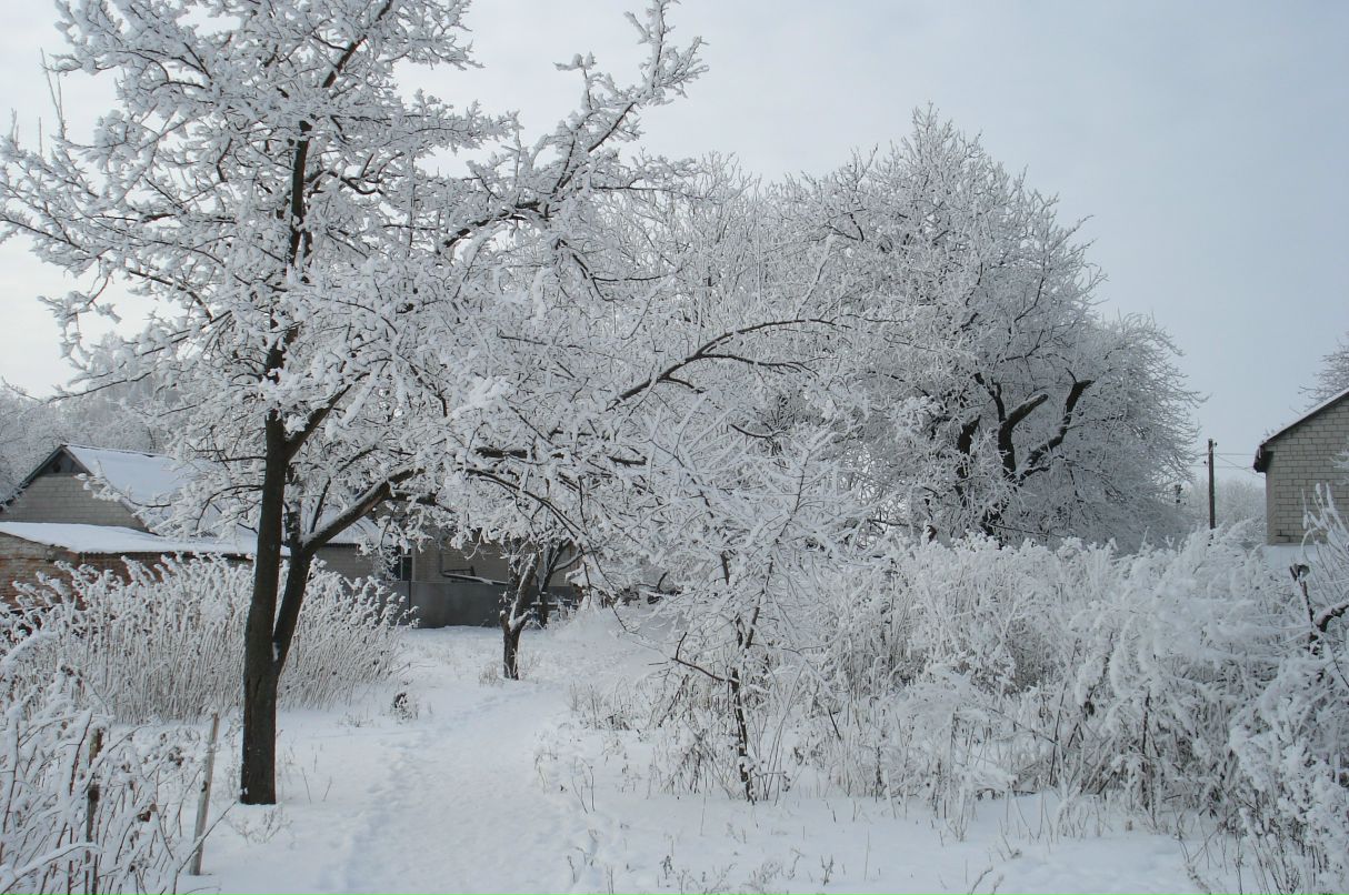 Олександр Дворак | 