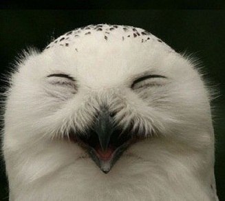 Алексей Полушин | Нижний Новгород