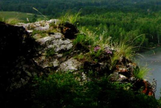 Екатерина Орлова | 