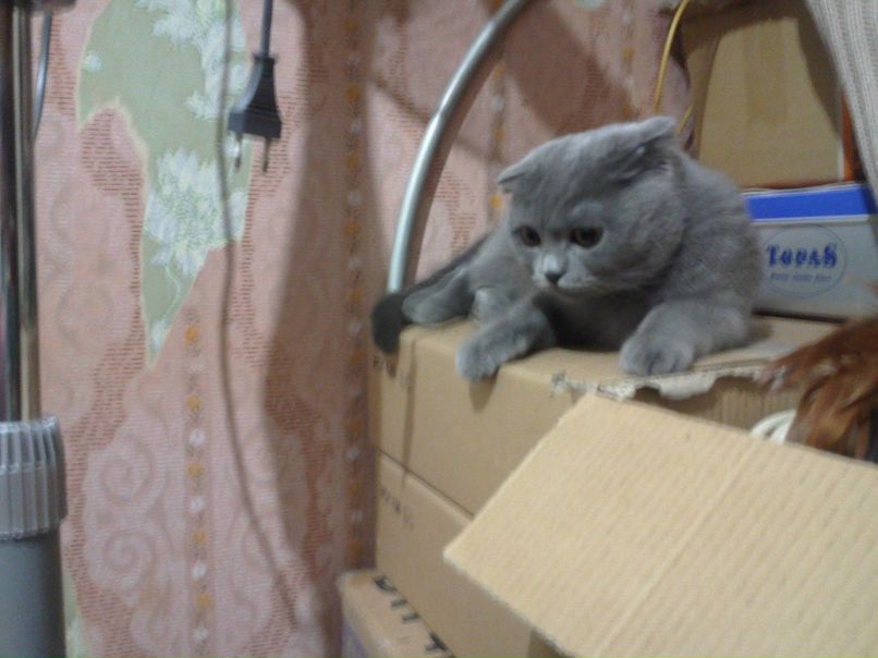 Ира Ибрагимова | Харьков