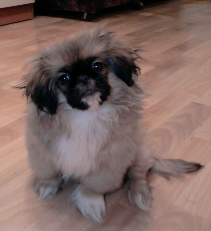 Оксана Жукова | Самара