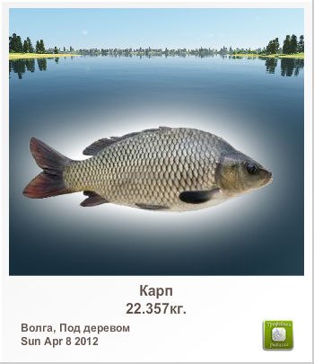 Виктор Зобнин | Заречный