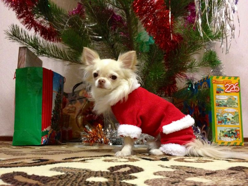 Галина Гусейнова | Ростов-на-Дону