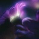 Алла Климкина | Гродно