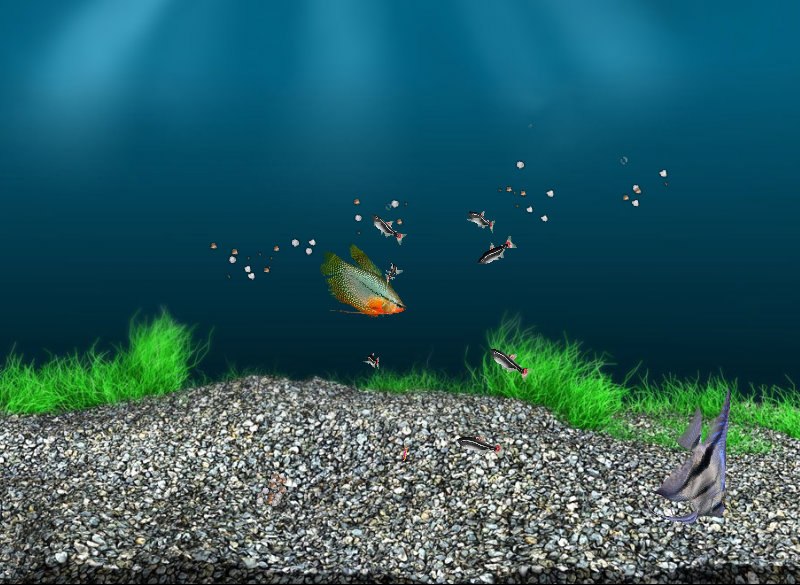 Наталия Зингер | Краснознаменск