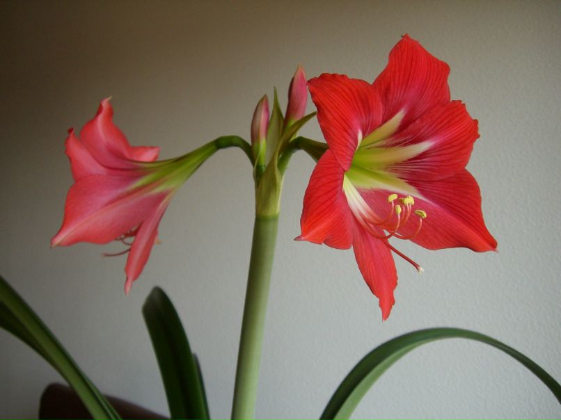 Татьяна Шмаглий | Екатеринбург